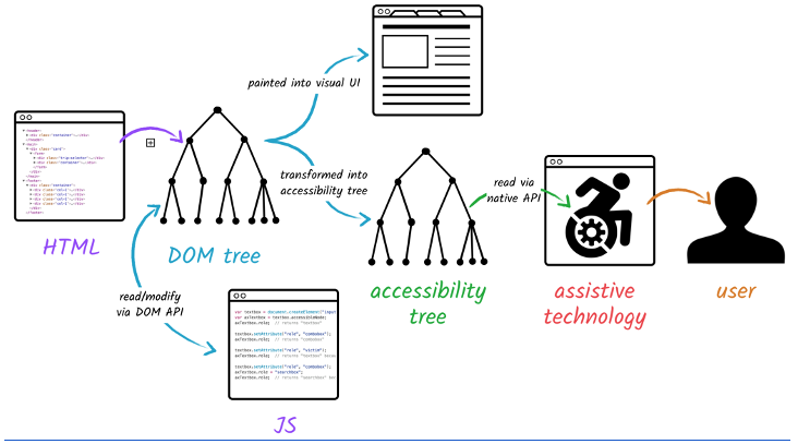 Flow chart showing the web accessibility tree and how a html website is made accessible to a disabled user via assistive technology.